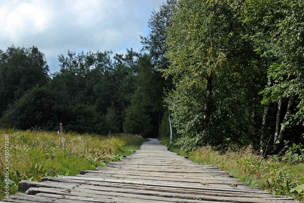 Holzbohlenweg durch das Schwarze Moor in der Rhön 