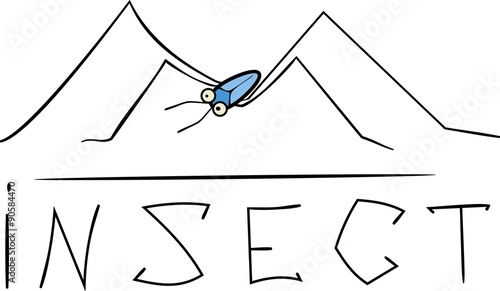 water strider