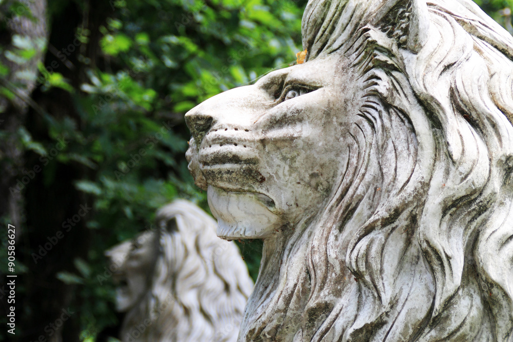 Löwenkopf, Staue aus Marmor, Nahaufnahme Löwenkopf, Staue aus Marmor, Nahaufnahme