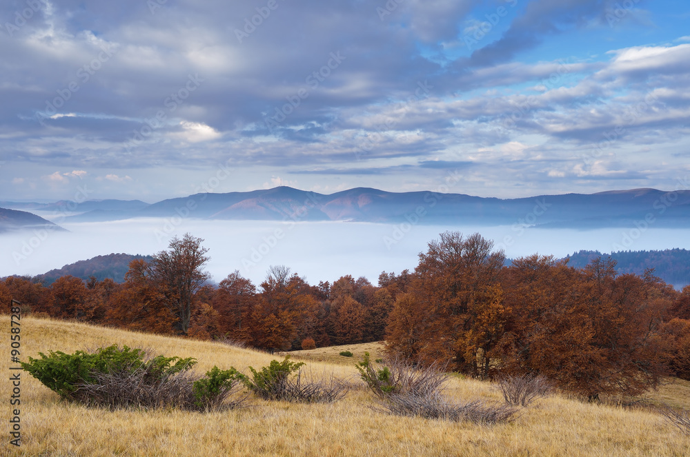 Beautiful morning mist in the mountains