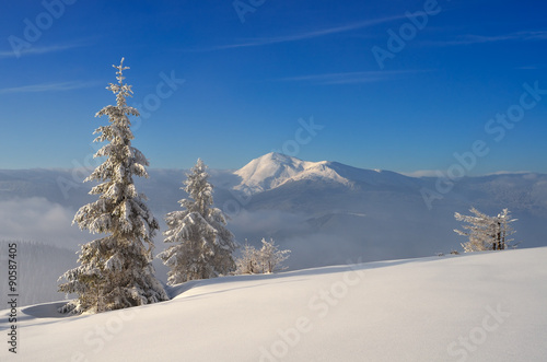 Mountain landscape in winter © Oleksandr Kotenko