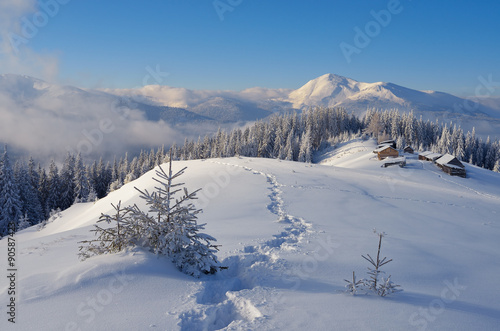 Winter landscape with footpath in the snow