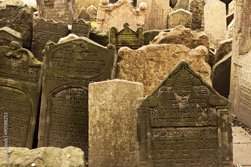 Jewish Cemetery Viewpoint