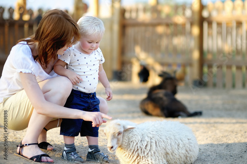 Fotografie Toddler boy and his mother looking at sheep