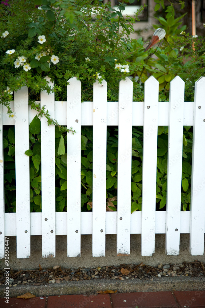 Gartenzaun Gartenzaun