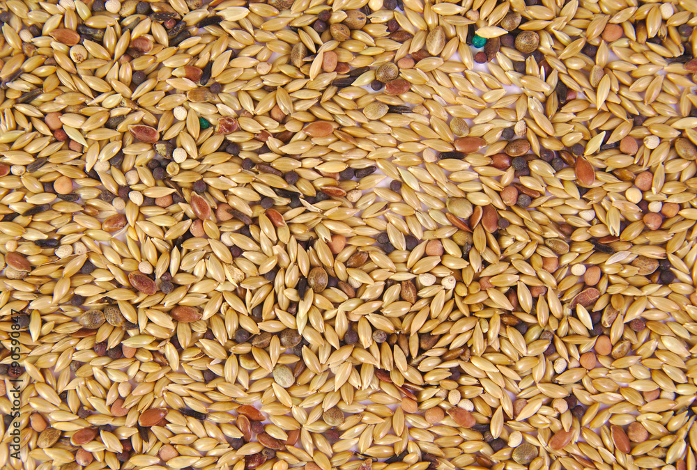 Pet food for birds. Seed mixture as background Pet food for birds. Seed mixture as background