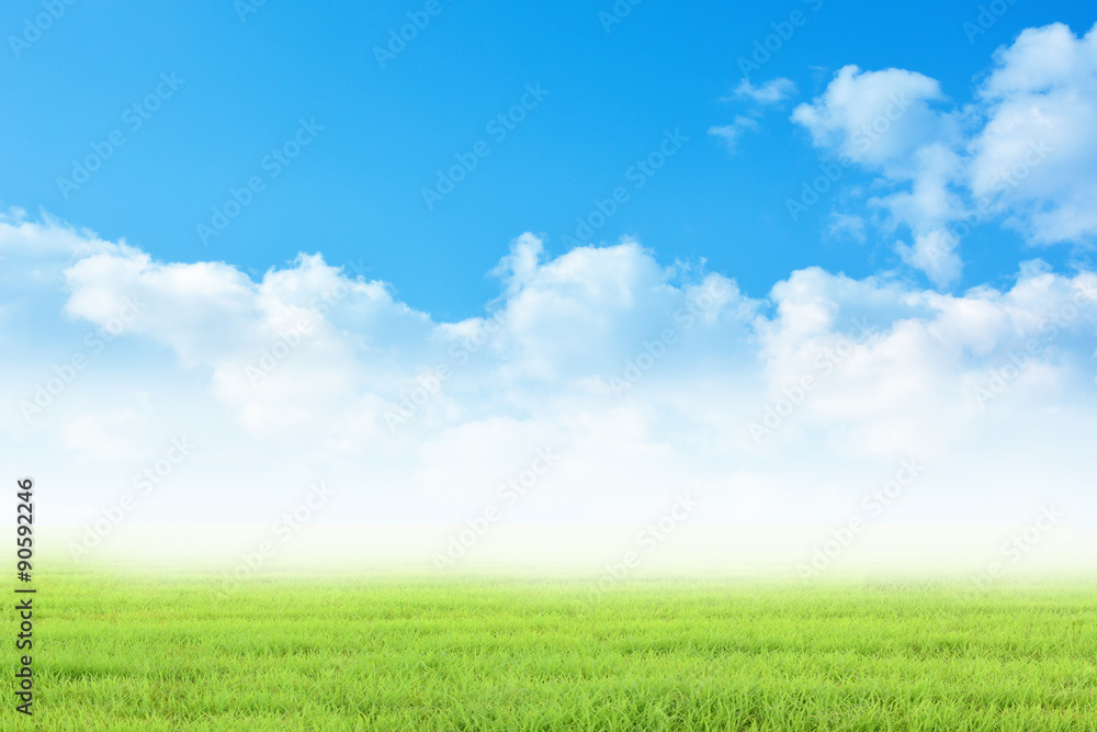 Background grass and sky