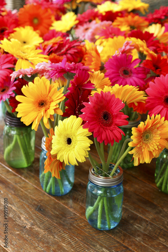 Gerbera Daisies