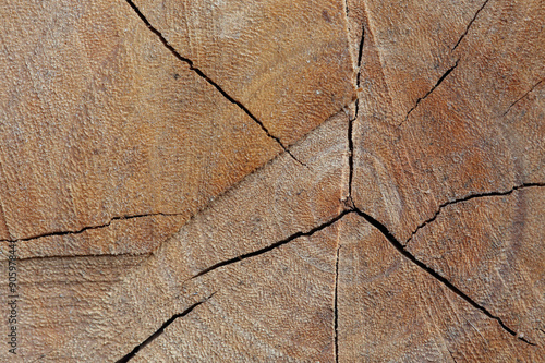 texture of wood logs background with crack damage of aged