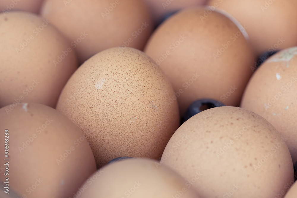 fresh organic eggs from chicken farm agriculture for sale fresh organic eggs from chicken farm agriculture for sale