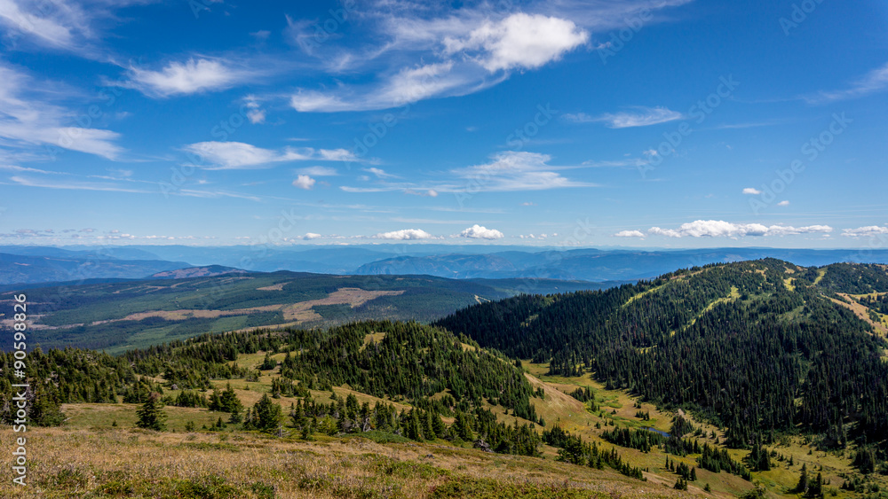 Naklejka premium View from the top of Tod Mountain at an elevation of 2152 meters in the Shuswap Highlands of central British Columbia, Canada