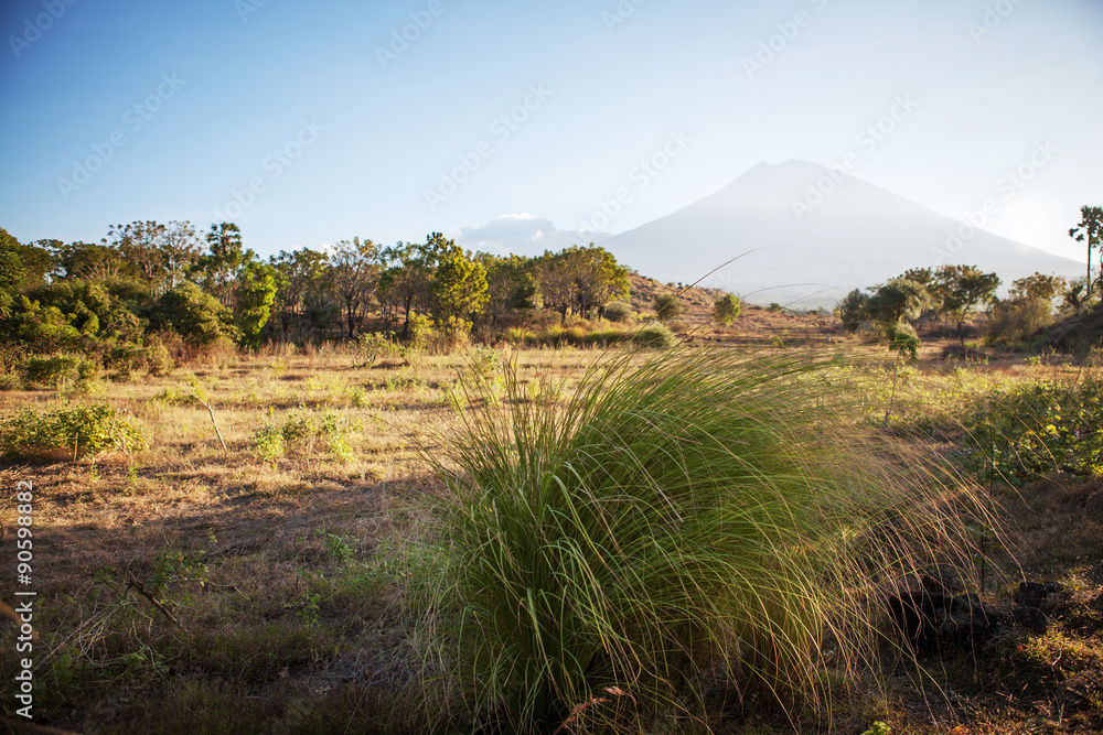 Naklejka premium Volcano Agung. Bali - Indonesia.