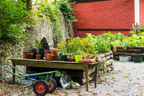 bepflanzung im Garten photo