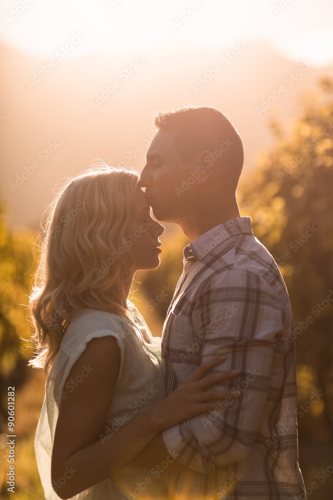 Man kissing his woman on forehead between grapevine Man kissing his woman on forehead between grapevine