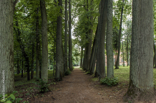 narrow trail