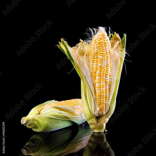 sweet corn isolate on black