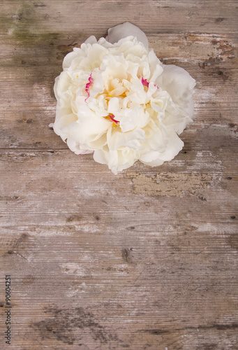 Fototapeta Naklejka Na Ścianę i Meble -  Floral background with white peonies on wooden background
