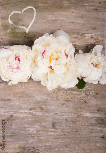 Floral background with white peonies on wooden background
