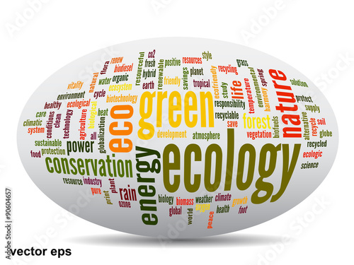 Conceptual ecology word cloud