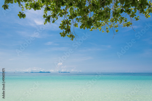 Fototapeta Naklejka Na Ścianę i Meble -  blue sky with beach sea and leaf