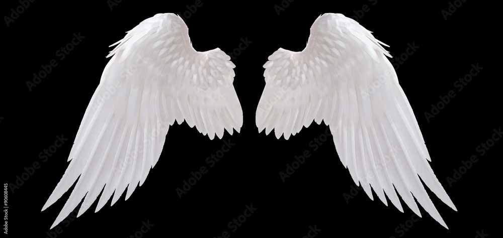 white angel wing isolated - obrazy, fototapety, plakaty 