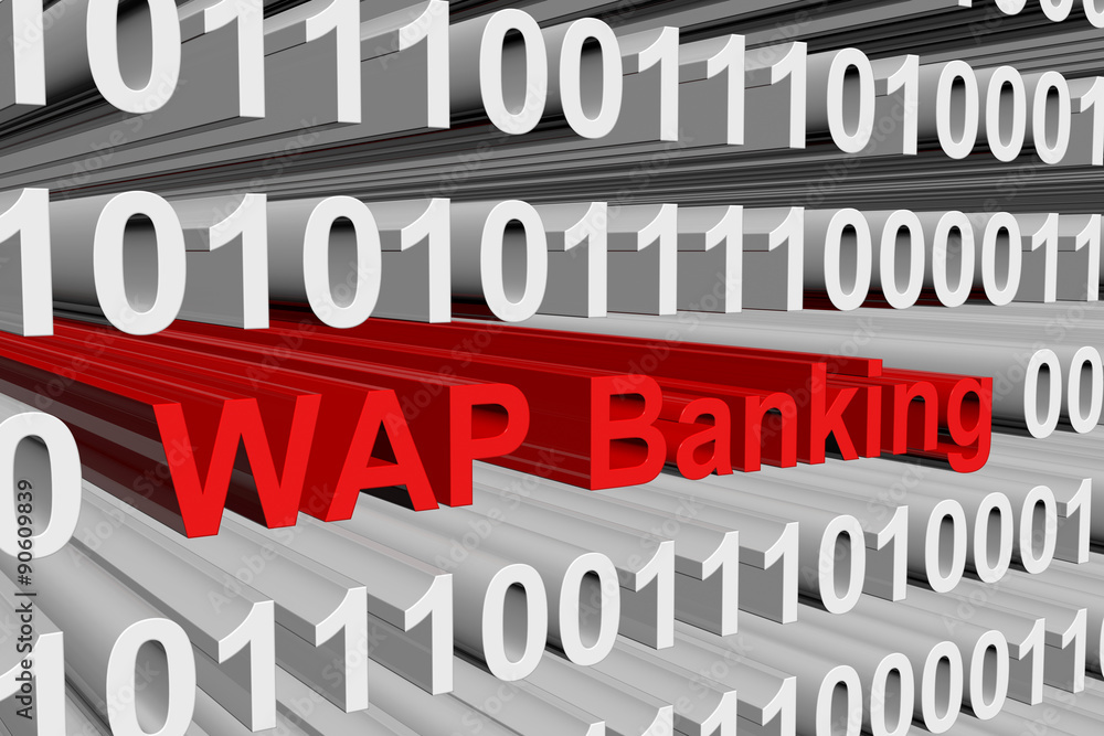 WAP Banking is presented in the form of binary code