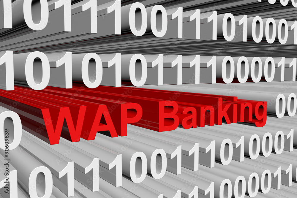 WAP Banking is presented in the form of binary code WAP Banking is presented in the form of binary code