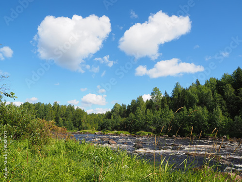 river in summer