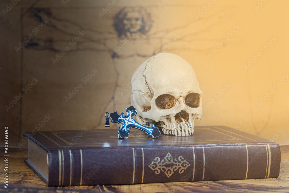 compass and skull on book compass and skull on book