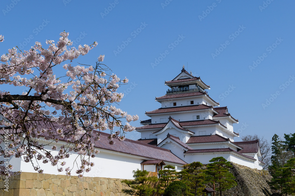 Cherry blossoms at the Tsuruga Castle in Aizuwakamatsu, Fukushima, Japan Cherry blossoms at the Tsuruga Castle in Aizuwakamatsu, Fukushima, Japan