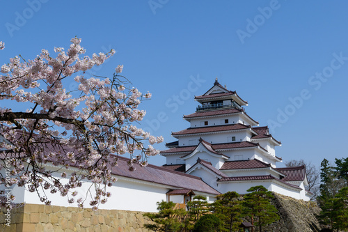 Cherry blossoms at the Tsuruga Castle in Aizuwakamatsu, Fukushima, Japan