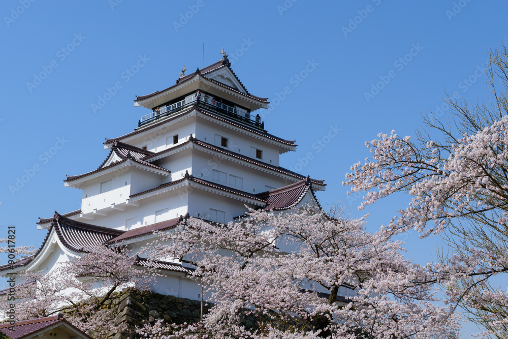 Cherry blossoms at the Tsuruga Castle in Aizuwakamatsu, Fukushima, Japan Cherry blossoms at the Tsuruga Castle in Aizuwakamatsu, Fukushima, Japan