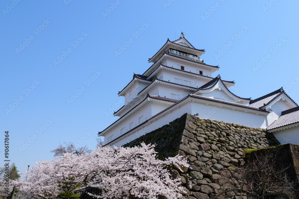 Cherry blossoms at the Tsuruga Castle in Aizuwakamatsu, Fukushima, Japan Cherry blossoms at the Tsuruga Castle in Aizuwakamatsu, Fukushima, Japan