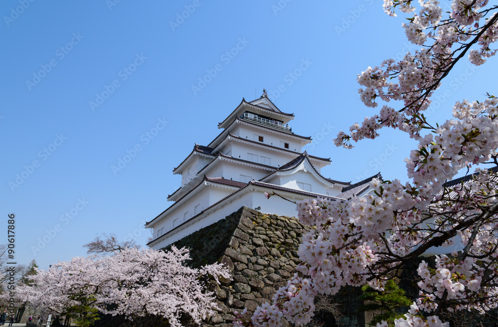 Cherry blossoms at the Tsuruga Castle in Aizuwakamatsu, Fukushima, Japan Cherry blossoms at the Tsuruga Castle in Aizuwakamatsu, Fukushima, Japan