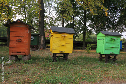 bee hives