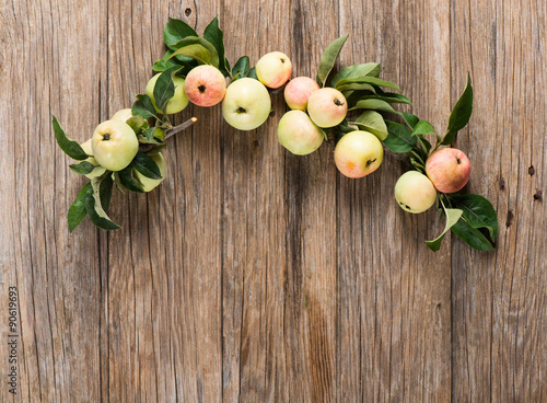 Fototapeta Naklejka Na Ścianę i Meble -  Apples on a twigs