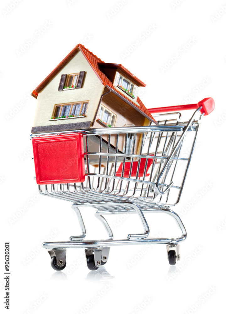 shopping cart and house