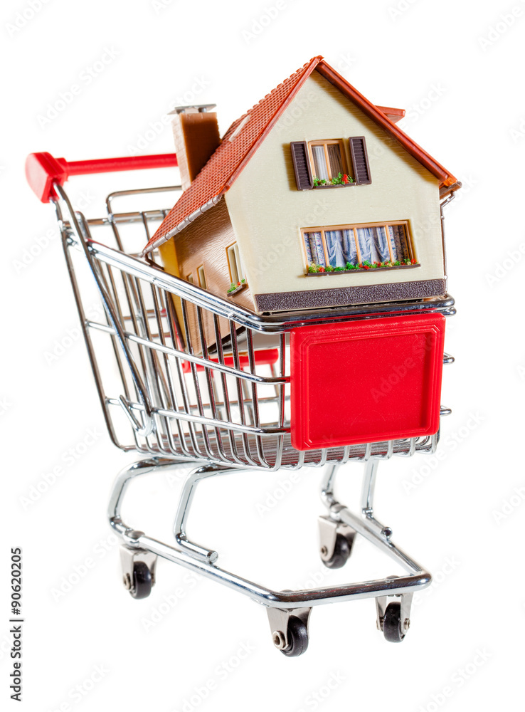 shopping cart and house shopping cart and house