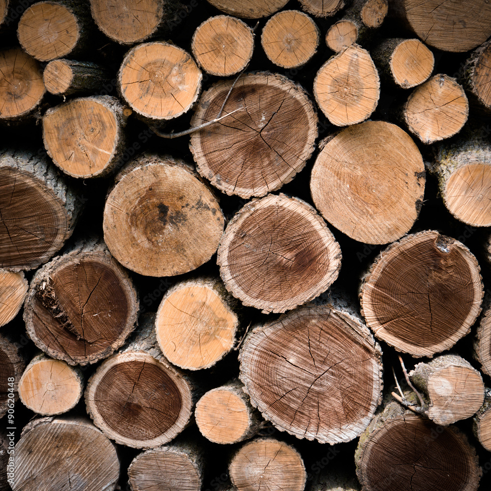 Firewood Firewood