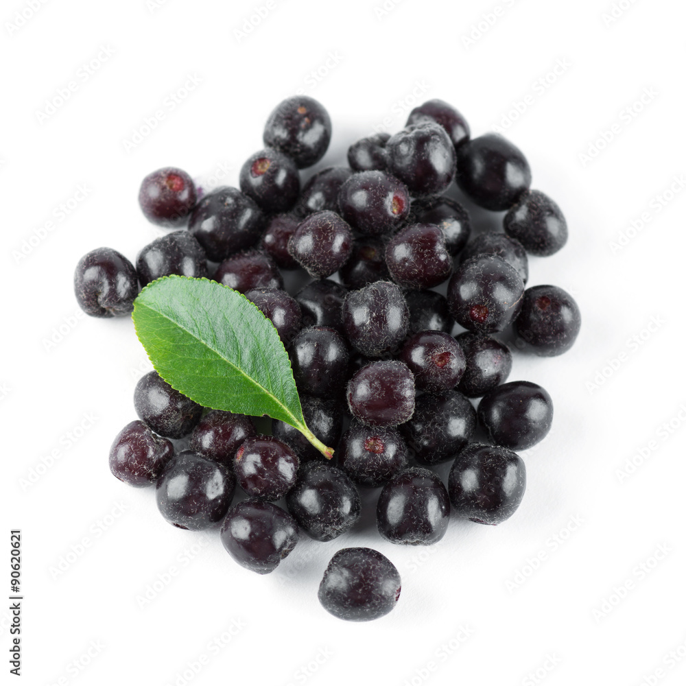 Fresh ripe chokeberry Fresh ripe chokeberry