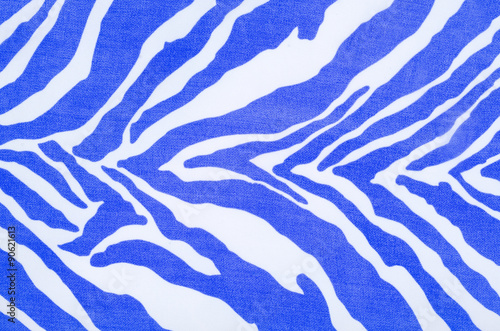 Blue and white zebra pattern. Striped animal print as background.