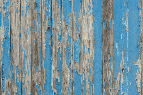 Blue wooden shelves of barn door with paint peeling of for background or backdrop 