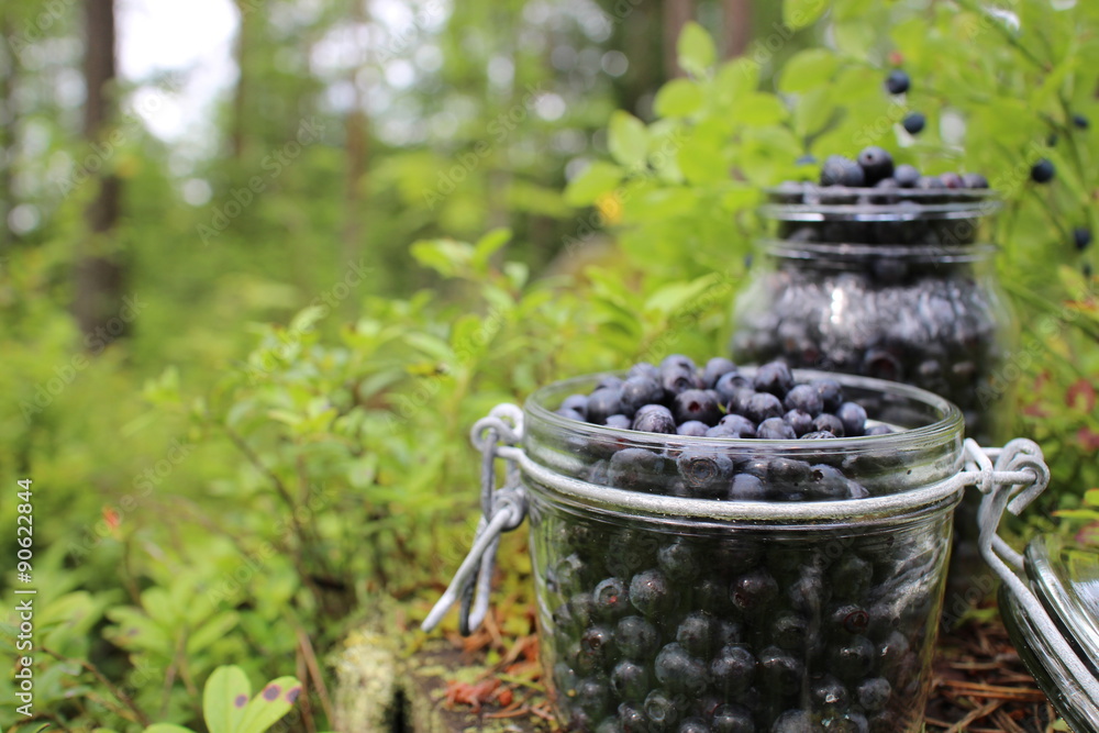 Fototapeta premium Blueberries in glass jar. Forest in Scandinavia, Finland.