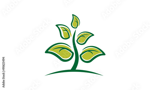 Green Plant Grow Vector Illustration