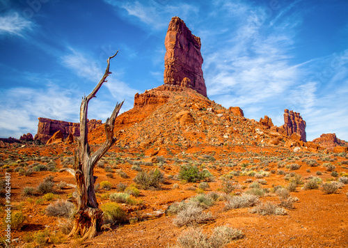 Valley of the Gods Formation with dead cedar