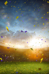 Evening stadium arena soccer field championship win.