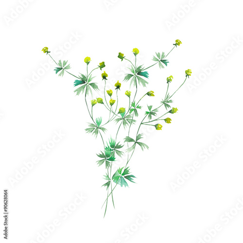 Isolated bouquet of yellow wildflowers painted in watercolor on a white background, decoration postcard, greeting card or invitation
