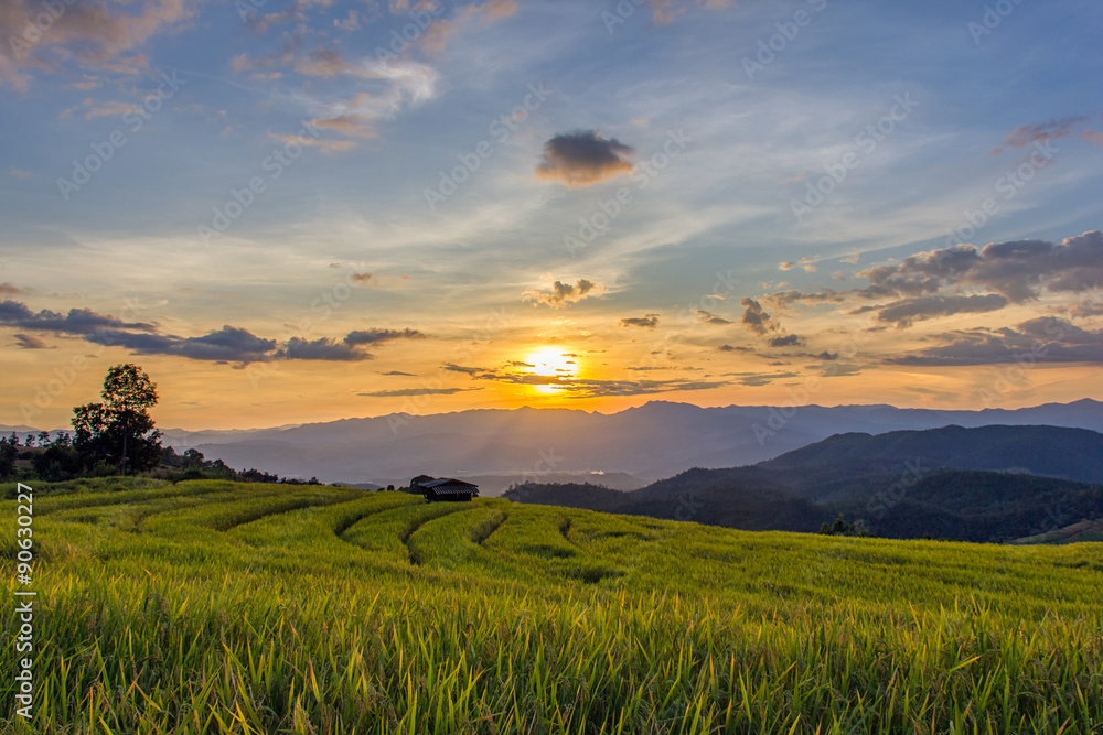 Sunset at Terraced Paddy Field in Mae-Jam Village , Chiang Mai Province , Thailand