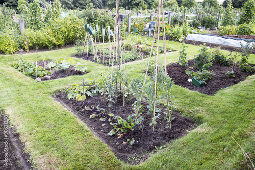 Foto Allotment
