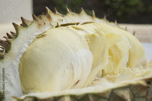 Durian Asian tropical smell spike Thai exotic concept